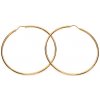 iZlato Forever Zlaté náušnice Kruhy 5 cm IZ28250HR iZlato Forever Zlaté náušnice Kruhy 5 cm IZ28250HR