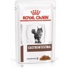Royal Canin VHN Feline Gastrointestinal kapsičky 12x 85 g Royal Canin VHN Feline Gastrointestinal kapsičky 12x 85 g