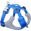 RED DINGO postroj Sport – Electric Blue XL RED DINGO postroj Sport – Electric Blue XL
