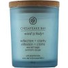 Chesapeake Bay Reflection + Clarity 96 g