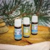Herbarium Projekt Saunové esá, aromabalíček 3x10ml, VONIAVA Herbarium Projekt Saunové esá, aromabalíček 3x10ml, VONIAVA