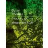 Příhody při shazování kůží - Dylan Thomas Příhody při shazování kůží - Dylan Thomas
