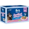 Brit Premium by Nature Cat Delicate Fillets in Gravy Family Plate Sterilised 1020 g (12× 85 g) Brit Premium by Nature Cat Delicate Fillets in Gravy Family Plate Sterilised 1020 g (12× 85 g)