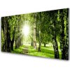 Sklenený obklad Do kuchyne Les slnko chodník príroda 100x50 cm Sklenený obklad Do kuchyne Les slnko chodník príroda 100x50 cm