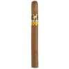 Cohiba Exquisitos 1 ks Cohiba Exquisitos 1 ks