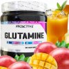 GLUTAMÍN v prášku Vitamín B6 AMINOKYSLINY príchuť MANGO ProActive 500g GLUTAMÍN v prášku Vitamín B6 AMINOKYSLINY príchuť MANGO ProActive 500g