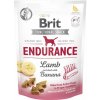 Brit Care Dog Functional Snack Endurance Lamb 150 g Brit Care Dog Functional Snack Endurance Lamb 150 g
