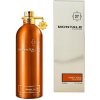 Montale Paris Honey Aoudu unisex parfumovaná voda 100 ml Montale Paris Honey Aoudu unisex parfumovaná voda 100 ml