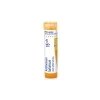 Antimonium Tartaricum gra.1 x 4 g 15CH Antimonium Tartaricum gra.1 x 4 g 15CH