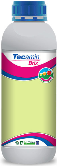 Tecamin Brix 1 l