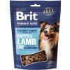 Brit Premium by Nature Dog Semi-moist Snacks Lamb with Sea Buckthorn 180 g Brit Premium by Nature Dog Semi-moist Snacks Lamb with Sea Buckthorn 180 g