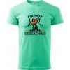 Im not lost - geocaching - Klasické pánske tričko vyššej gramáže - 3XL ( Mätová ) Im not lost - geocaching - Klasické pánske tričko vyššej gramáže - 3XL ( Mätová )