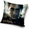Carbotex Harry Potter Poslední souboj 40 x 40 cm