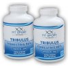 FitSport Nutrition 2x Tribulus Terrestris 90% + Vitamín B6 + Zinok 240 kapsúl FitSport Nutrition 2x Tribulus Terrestris 90% + Vitamín B6 + Zinok 240 kapsúl