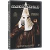 BlacKkKlansman - DVD BlacKkKlansman - DVD