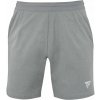 Pánske šortky Tecnifibre Team Short - Sivý (XL) Pánske šortky Tecnifibre Team Short - Sivý (XL)