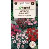 Toraf Semená Klinček perovitý MIX Spring Beauty Toraf Semená Klinček perovitý MIX Spring Beauty