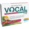 Vocal Kids měkké pastilky s příchutí Jahody 24ks Vocal Kids měkké pastilky s příchutí Jahody 24ks