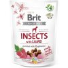 Brit Care Dog Crunchy Cracker Insects with Lamb enriched with Raspberries 200 g Brit Care Dog Crunchy Cracker Insects with Lamb enriched with Raspberries 200 g