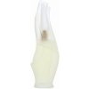 DKNY Cashmere Mist toaletná voda pre ženy 100 ml DKNY Cashmere Mist toaletná voda pre ženy 100 ml