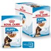 Royal Canin - Canine kaps. Maxi Puppy 10x140 g Royal Canin - Canine kaps. Maxi Puppy 10x140 g
