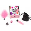 Secret Play Secret Pleasures Box