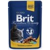 BRIT Premium cat Kapsička Adult Chicken & Turkey 100 g BRIT Premium cat Kapsička Adult Chicken & Turkey 100 g