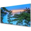 Nástenný panel Stromy príroda 100x50 cm Nástenný panel Stromy príroda 100x50 cm