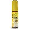 Bach Krízový sprej (Rescue spray) s alkoholom 20 ml Bach Krízový sprej (Rescue spray) s alkoholom 20 ml