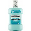 Listerine Cool Mint Mild Taste ústna voda 1 l Listerine Cool Mint Mild Taste ústna voda 1 l