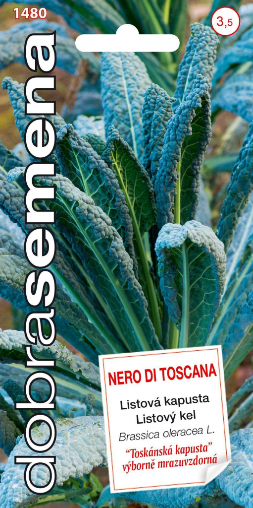 Dobré semená Kel listový mrazuvzdorný - Nero Di Toscana 0,5g
