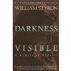Darkness Visible Darkness Visible
