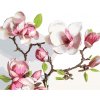 ZUTY Maľovanie podľa čísel - JARNÁ KVITNÚCA MAGNÓLIA Rámovanie: vypnuté plátno na rám, Rozmer: 40x50 cm ZUTY Maľovanie podľa čísel - JARNÁ KVITNÚCA MAGNÓLIA Rámovanie: vypnuté plátno na rám, Rozmer: 40x50 cm