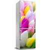 Foto nálepka na chladničku Farebné tulipány 60x180 cm Foto nálepka na chladničku Farebné tulipány 60x180 cm