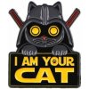 imago Odznak I am Your Cat imago Odznak I am Your Cat