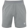 Tecnifibre pánske šortky Club short Silver