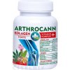 Annabis ARTHROCANN KOLAGÉN Forte VITAMÍN Komplex tbl 1x60 ks Annabis ARTHROCANN KOLAGÉN Forte VITAMÍN Komplex tbl 1x60 ks