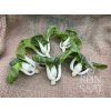 ReinSaat Mini Bok Choi - 1 bal.