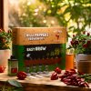 Darčeková sada na pestovanie chilli papričiek – Easy Grow, chilli grow kit Darčeková sada na pestovanie chilli papričiek – Easy Grow, chilli grow kit