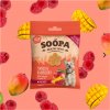 SOOPA Healthy Bites Mango & malina 50 g SOOPA Healthy Bites Mango & malina 50 g