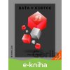 E-kniha Baťa v kostce - Zdeněk Pokluda E-kniha Baťa v kostce - Zdeněk Pokluda