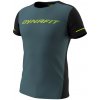 Dynafit Alpine 2 S/S Tee sivá