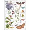 Ryžový papier - A4 - lúčne bylinky - motív R0404 Ryžový papier - A4 - lúčne bylinky - motív R0404