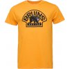 Fanatics Boston Bruins Primary Logo Graphic T-Shirt