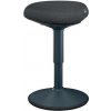 Leitz Ergo ergonomická balanční židle pro sezení, tmavě šedá Leitz Ergo ergonomická balanční židle pro sezení, tmavě šedá