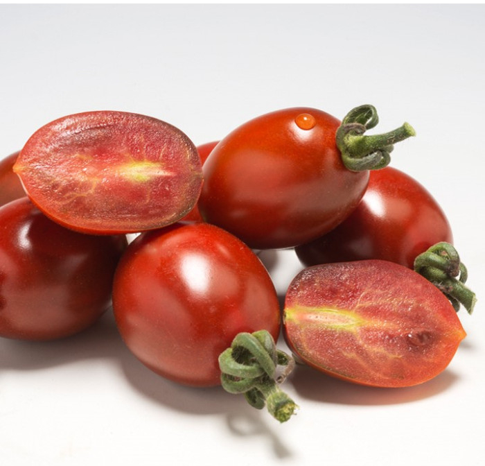 Paradajka Dattochoco F1 - Solanum lycopersicum - semená paradajky - 6 ks