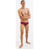 Pánske plavky Finis Brief Solid Cabernet M - UK34 + výmena a vrátenie do 30 dní s poštovným zadarmo Pánske plavky Finis Brief Solid Cabernet M - UK34 + výmena a vrátenie do 30 dní s poštovným zadarmo