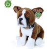 Eco-Friendly pes boxer 27 cm Eco-Friendly pes boxer 27 cm