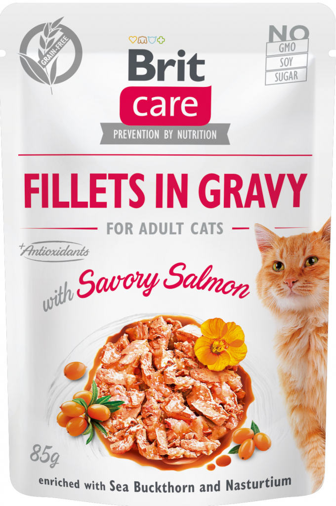 Brit Care Cat Fillets in Gravy with Savory Salmon 24 x 85 g