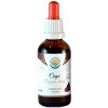Salvia Paradise Čaga - chaga - rezavec šikmý AF tinktúra 50ml Salvia Paradise Čaga - chaga - rezavec šikmý AF tinktúra 50ml